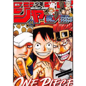 Magazine Cover Coated Paper Poster