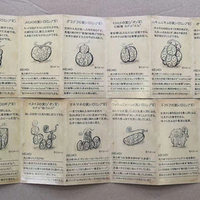 Devil Fruit Encyclopedia Collection album